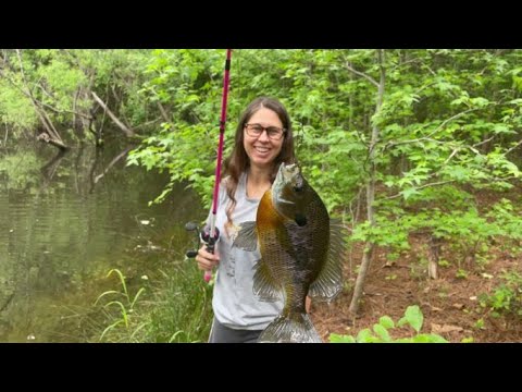 We Found An Old Forgotten Pond!