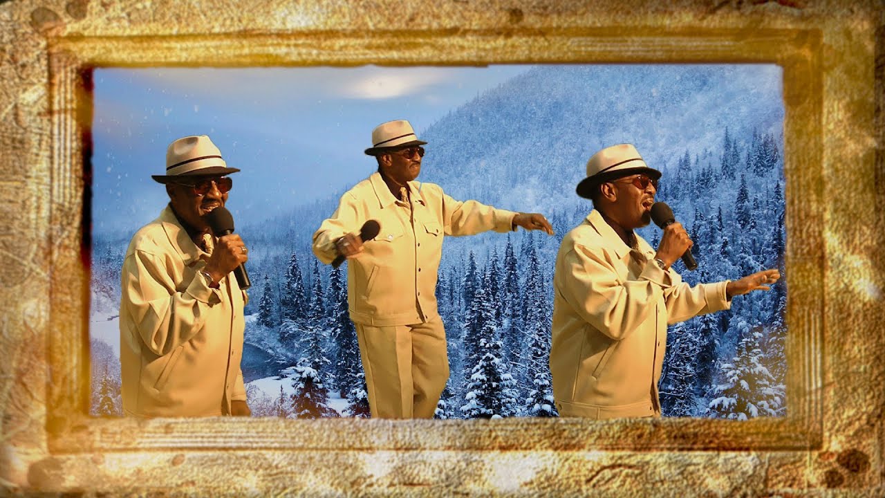Promotional video thumbnail 4 for Scacy Haywood