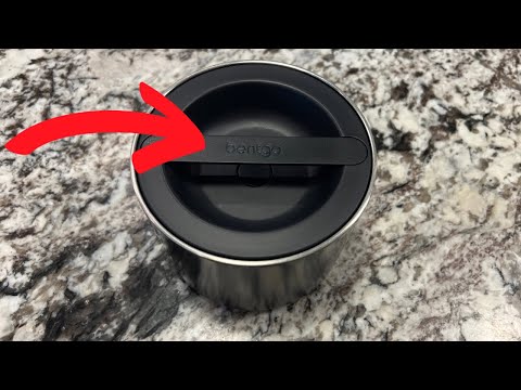 Bentgo Stainless Insulated Food Container Review - The Best Way to Keep Food Hot & Fresh!