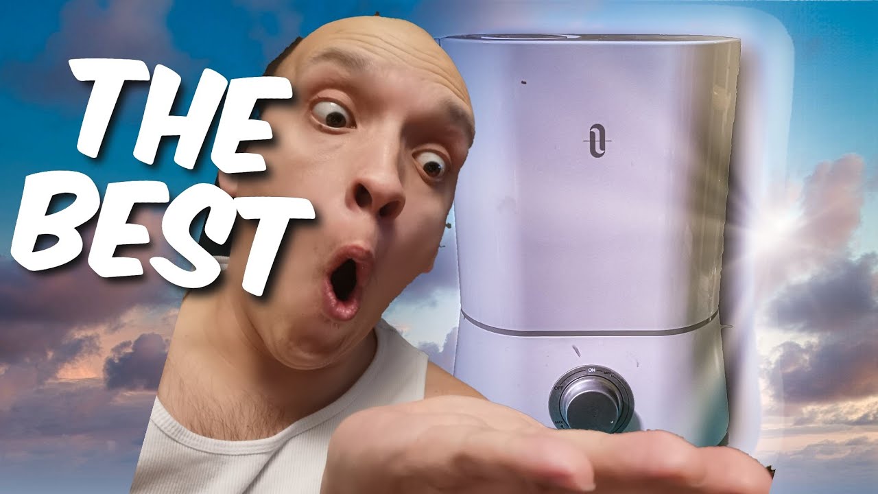 The BEST humidifier (2021)