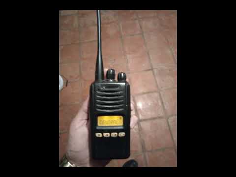 Ricardo Ventura V1- Mc Window 2021