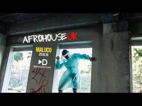 Milo & Fabio - MALUCO (Official Video)