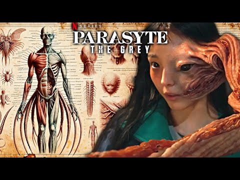 Parasyte Origin & Anatomy Explored - Are These Creatures Like Venom? Parasyte The Grey Netflix