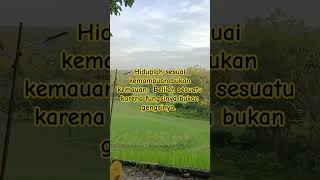 Download lagu Fungsi bukan gengsi #quotes #motivasi #katabijak #motivation #inspirasi #inspiration #shorts #fyp mp3 Download lagu Fungsi bukan gengsi #quotes #motivasi #katabijak #motivation #inspirasi #inspiration #shorts #fyp mp3