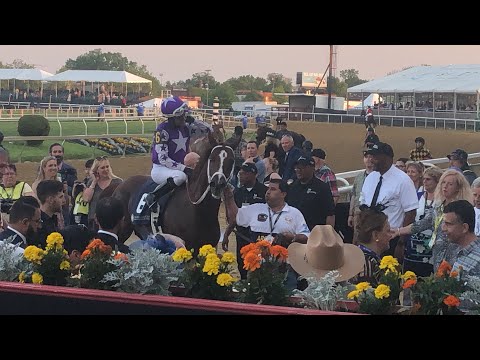 Arabian Horse of the Year, Hiab Al Zaman, wins the G1 UAE President Cup on Preakness Day 2022
