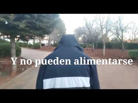 La verdad sobre el hambre en el mundo