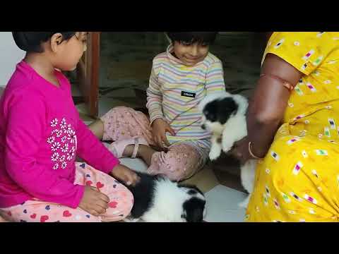 Deepanwita & Parinita 💗 Dogs 🐶