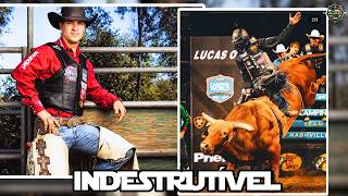 MIKE LEE: A HISTÓRIA COMPLETA DO CAMPEÃO MUNDIAL DA PBR