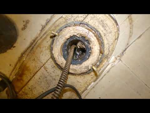 drain job 103 toilet line plugged