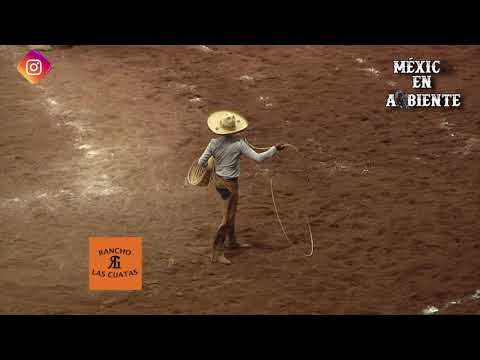 EXCELENCIA CHARRA 2019 FINAL - MANGANAS A PIE-  DIEGO IBARRA DE RANCHO LAS CUATAS