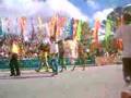 Florida Citrus Parade 2006 Bahia Shriners Hospital For Children Crew 2 With Sir Gus Jr