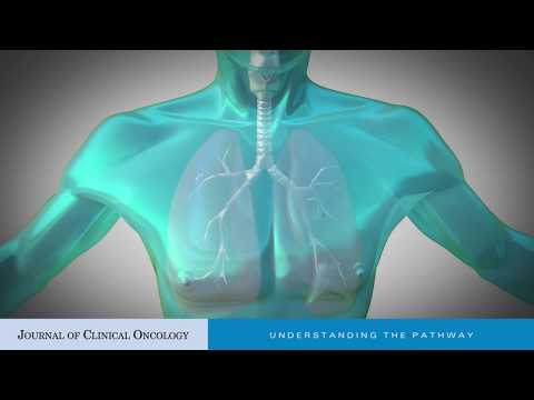 Impaired c-Met Receptor Degradation Mediated by MET Exon 14 Mutations in Non–Small-Cell Lung Cancer