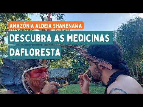 Medicinas da floresta com o Povo Shanenawa