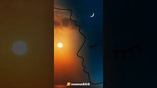 Download lagu aku bukan pilihan - Iwan fals #iwanfals mp3