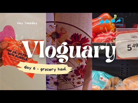 Grocery Haul, Bubble Bath, & Reflections on Chronic Illness -- Vloguary Day 6