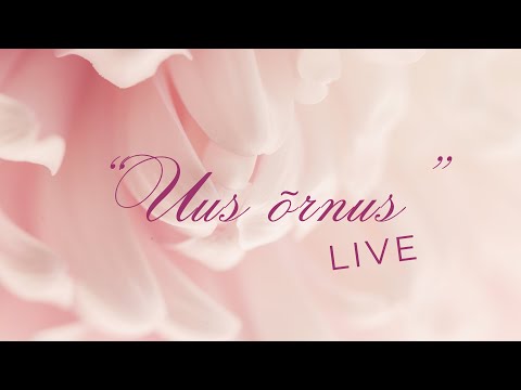 Niaache - "Uus õrnus" (LIVE, 28.12.2024, Tartu)