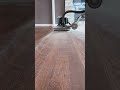 wood Flooring sanding Buffing  between coats
