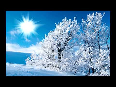 Vasile Palfi - Sculati, sculati, boieri mari!