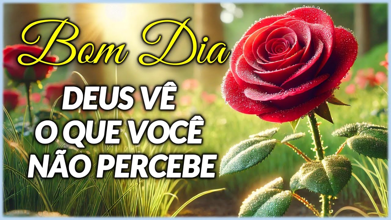 Mensagem de Bom Dia e Reflexão - Deus Vê o Que Você Não Percebe