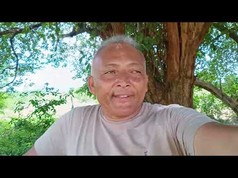 PARNAGUÁ PIAUÍ REGIÃO DO MOCAMBO ENTRE MATO ALTO E PARNAGUÁ 