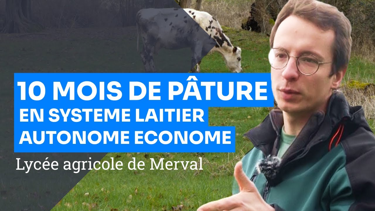 Synergies prairies, pommiers, vaches et production fromagère, ferme du lycée agricole de Merval