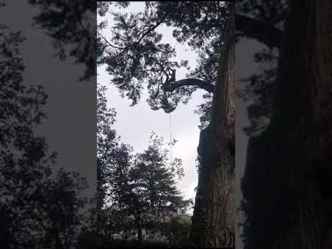 Démontage en rétention