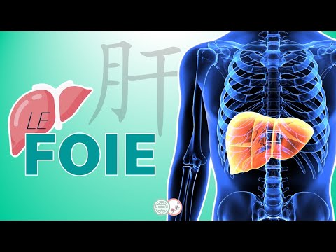 #4 - Le FOIE en Médecine Traditionnelle Chinoise