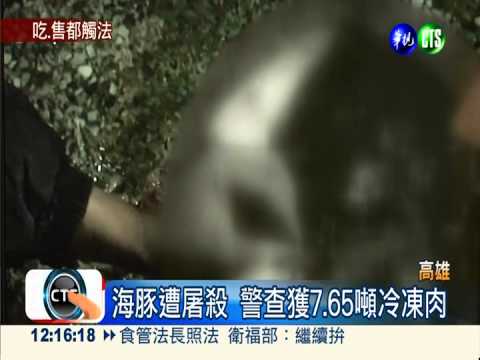 150隻海豚慘遭屠殺 疑銷往雲林!