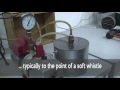 Theoretical Maximum Specific Gravity And Density Of HMA