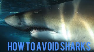 preview picture of video 'Tips to avoid sharks Gulf shores Alabama'
