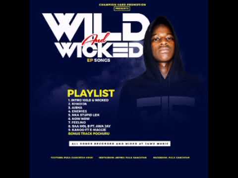 Fula Gangsta - Nka Stupidle (Official Audio)