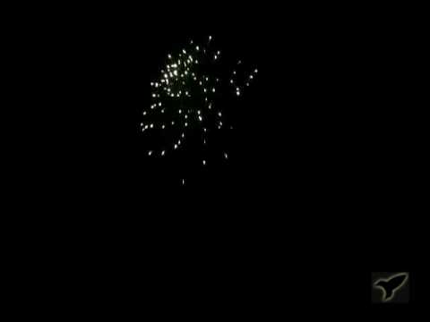 GREEN PEONY W/ TAIL by Rocket Fireworks Canada