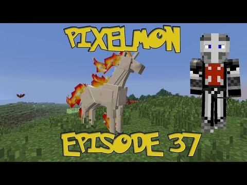 Minecraft Pixelmon - Episode 37 - Rapidash