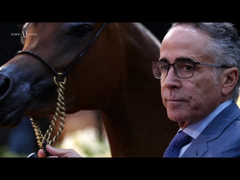 ATARE AL SHAHANIA   Las Vegas  2019