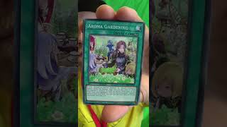 Day 1009 Opening Yu Gi Oh Cards by PewLookAlike #opening #trending #satisfying #yugioh #pokemon