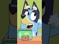 Time For Bluey Bluey