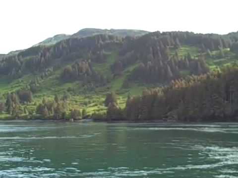 Halibut Fishing in Kodiak Alaska 1