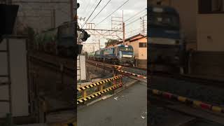 短い貨物列車！八王子～豊田