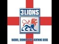 Three Lions 96