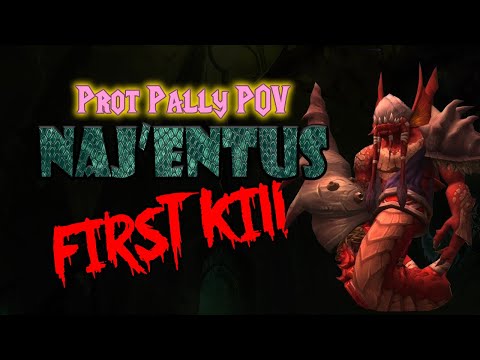 Naj'entus Prot Paladin MT POV 21 Man First Kill - TBC Classic