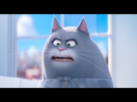 YouTube Preview Image