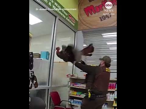 Turkey wreaks havoc inside Indiana supermarket
