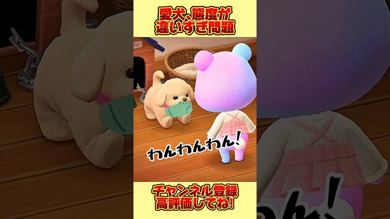 愛犬、母と娘で態度が違いすぎ問題、、。#あつ森 #あつまれどうぶつの森 #shorts
