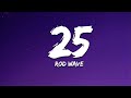 Rod Wave 25 Lyrics