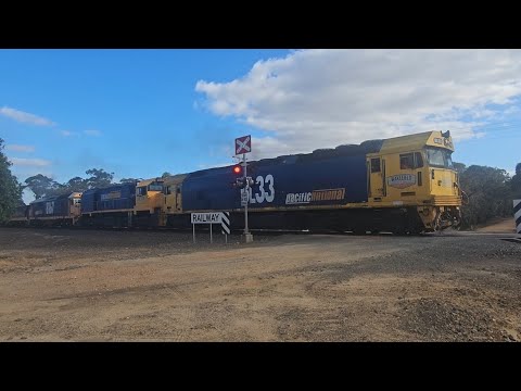 7735V PN empty grain (BL33+XR559+8167), Geelong to Murtoa, 1832, 6/1/25, Great Western VIC
