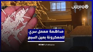 أمن البيضاء يداهم عمال صينيين في معمل سري للمعكرونة بعين السبع thumbnail
