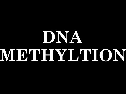 DNA methylation (how dna methylation suppresses gene transcription?)