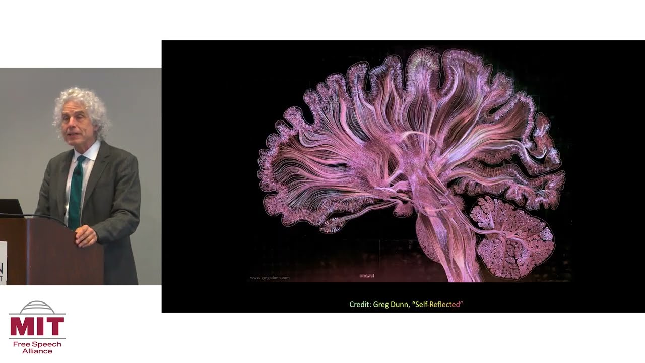 Steven Pinker: Human Rationality & Academic Freedom