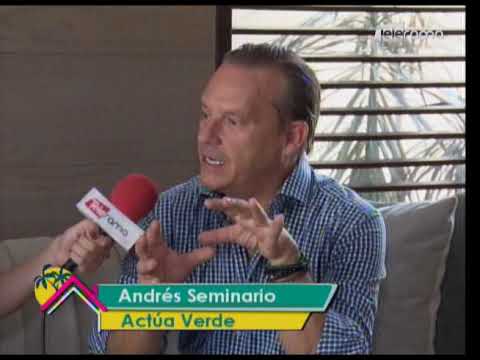 Palma de cera en peligro de extinción en Ecuador