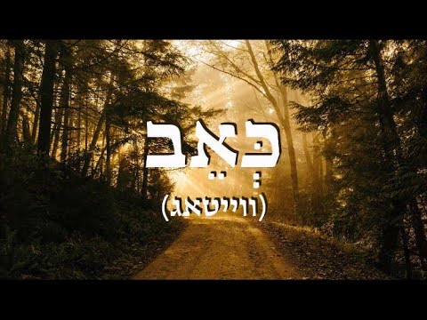 כאב (ווייטאג) - מוטי אילוביץ - "רעיונות" | מתורגם
